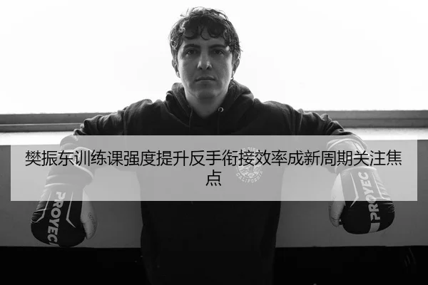 樊振东训练课强度提升反手衔接效率成新周期关注焦点